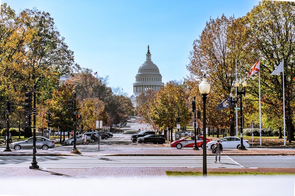 The Definitive Guide to Chauffeur Service Washington DC 2 chauffeur service washington dc