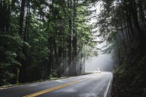 car, sunlight, forest, road, street, avenue, trees, woods, woodlands, drive, road trip, vehicle, transportation, nature, travel, rural, scenic, transport, way, trip, car wallpapers, countryside, asphalt, journey, landscape, car, car, road, drive, road trip, road trip, road trip, road trip, road trip, way, trip, journey, journey, journey