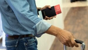 Verify TLC license for car service in Brooklyn