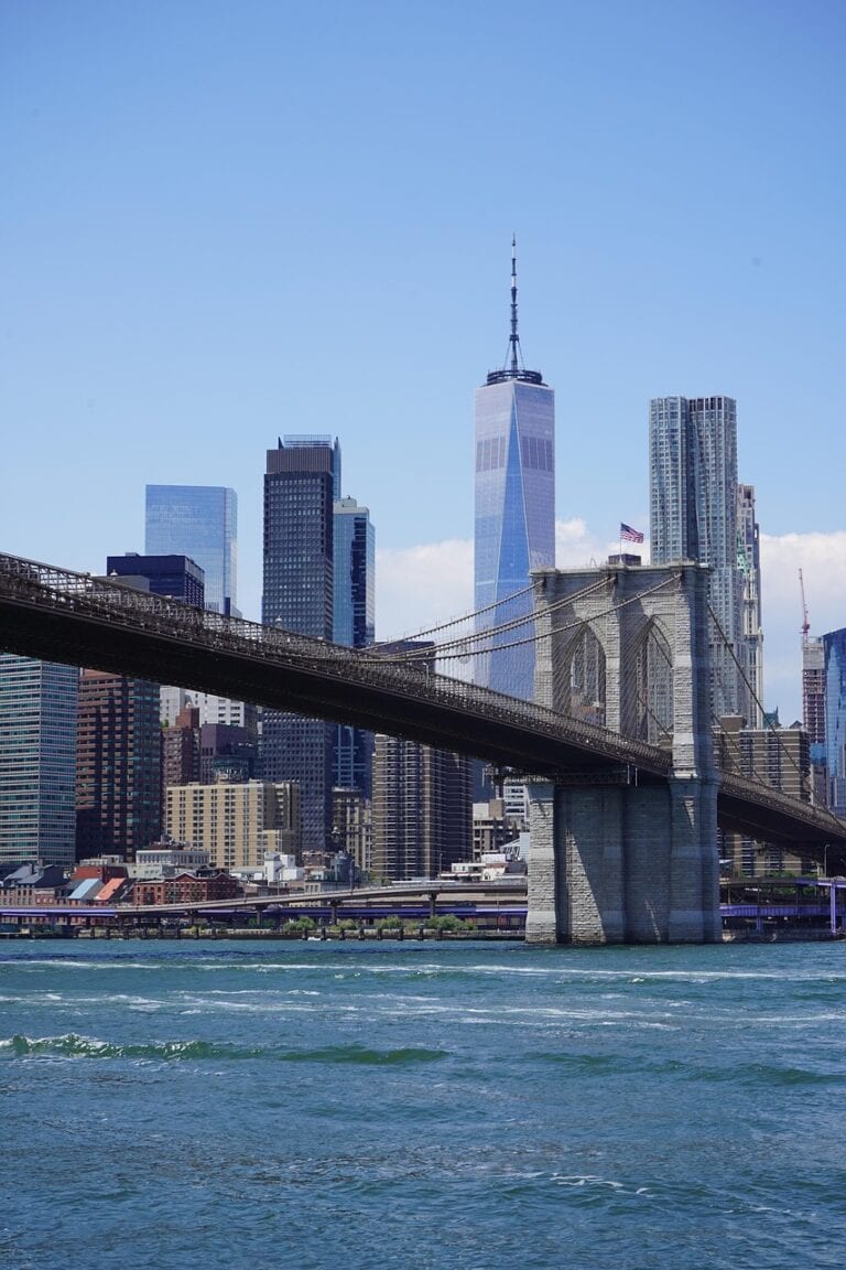 Eco friendly car service in Brooklyn overview