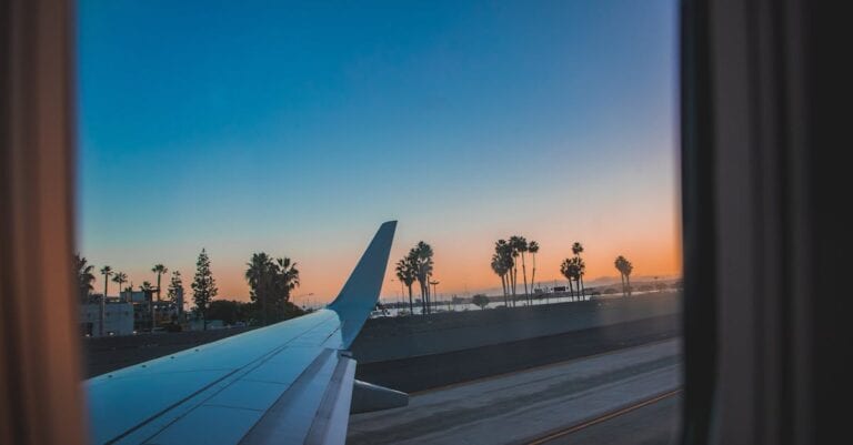 Scenic view from an airplane window of wing and palm trees during sunset.