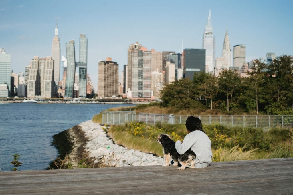 how much is a limo from jfk to new york