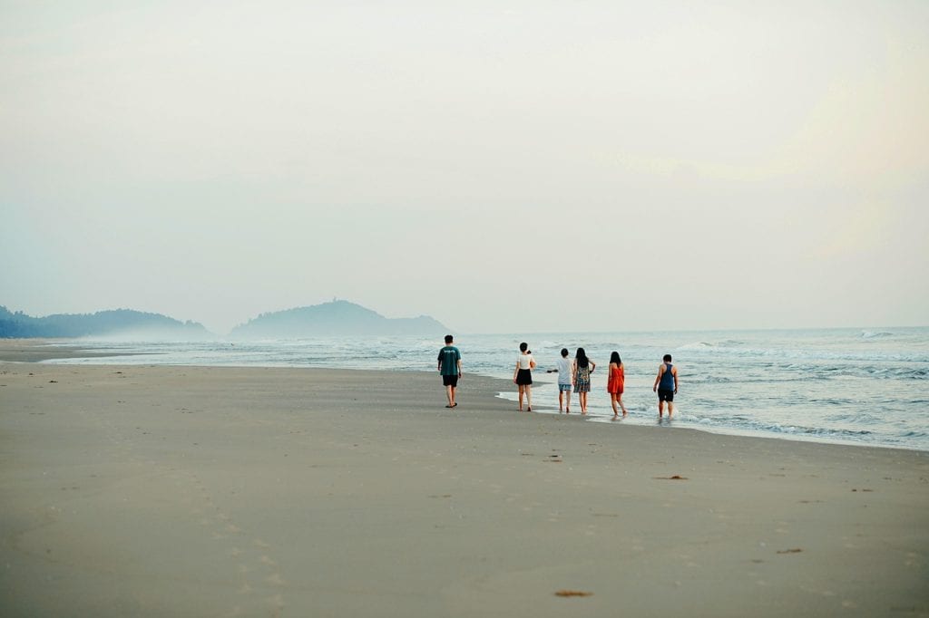 eco friendly jfk limo transfers