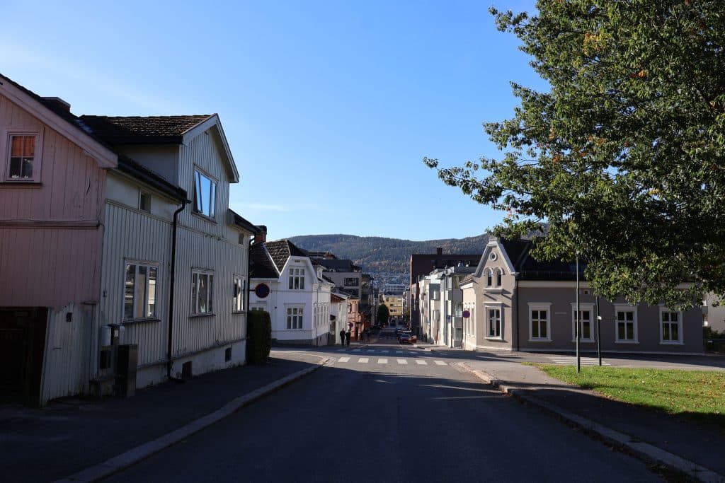 Reliable Car Service to Newark From Staten Island: 7 Honest Things Families Must Know (2026) 9 Charming streetscape capturing traditional architecture in Drammen, Norway under clear skies.
