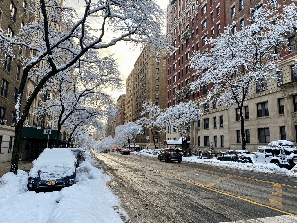 A city street lined with snow-covered trees and buildings on a winter day.