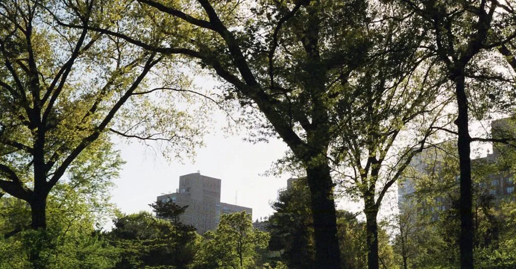 8 Advantages For Hiring A Limo From JFK To Manhattan 2 From JFK to Manhattan