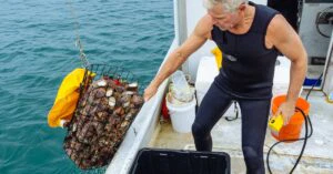 Q. Are there any direct buses from NYC to Philly?