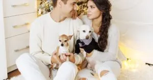 Couple with their dogs enjoying a cozy Christmas indoors, showcasing love and togetherness.