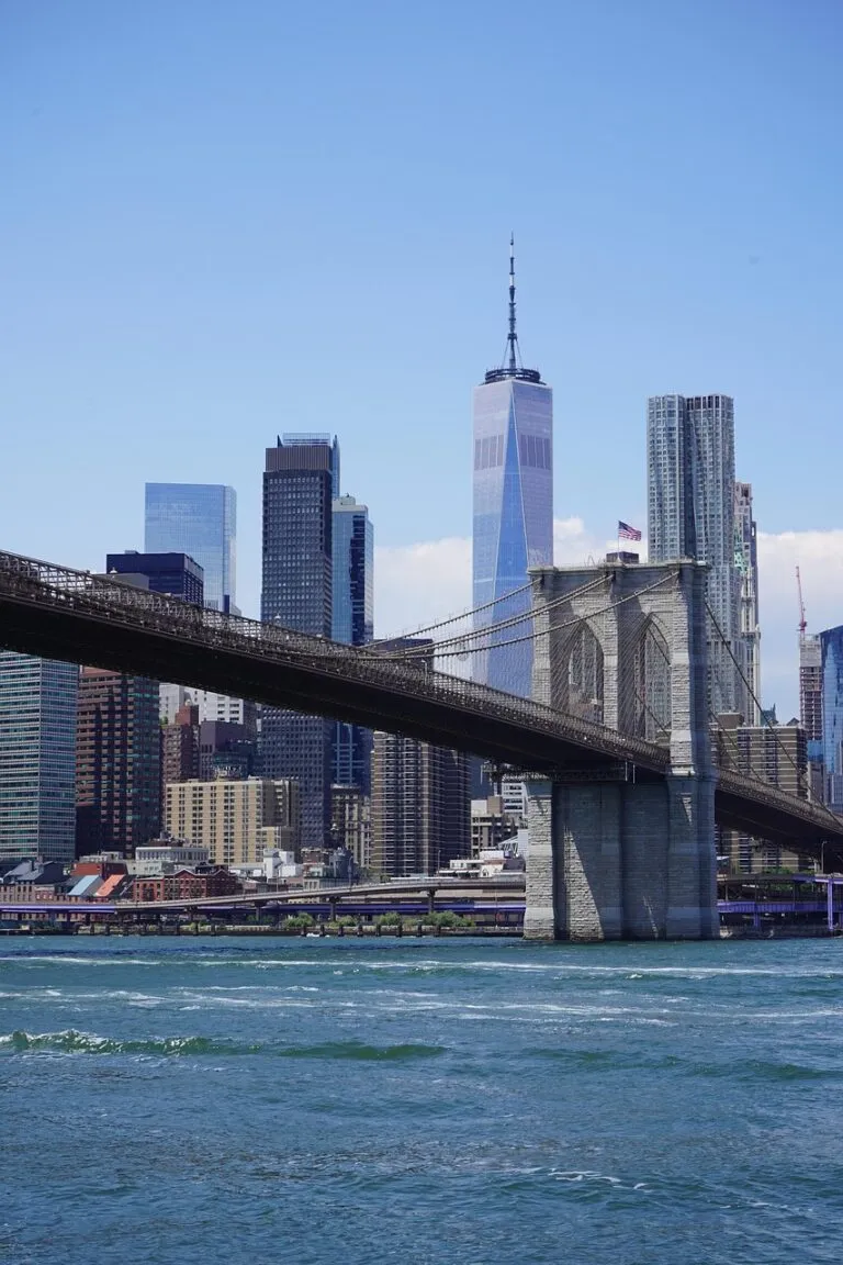 Eco friendly car service in Brooklyn overview