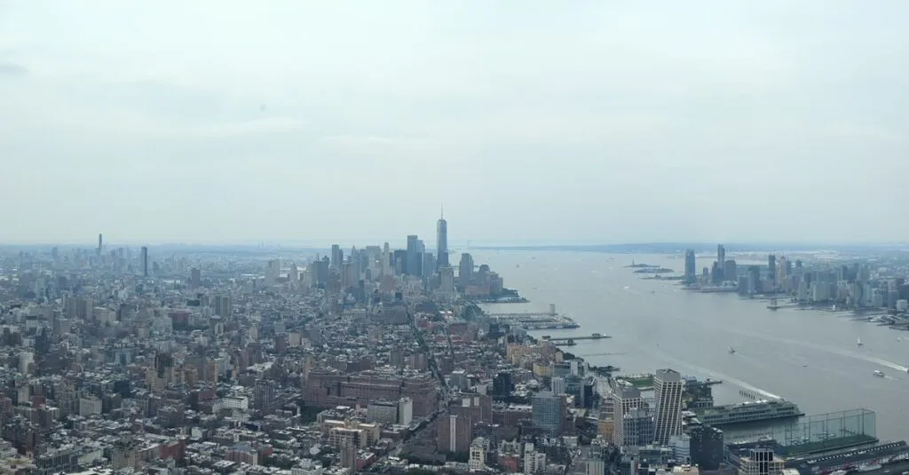 Car and Driver Service: The Definitive Guide to Traveling Without Stress 2 Car and Driver Service