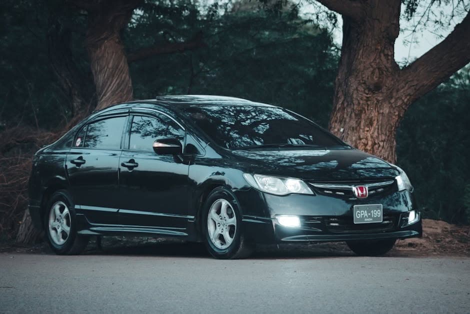 Unleash Luxury: How Limousine Sedan Services Get Best Price Limo into a VIP Experience 2 best price limo